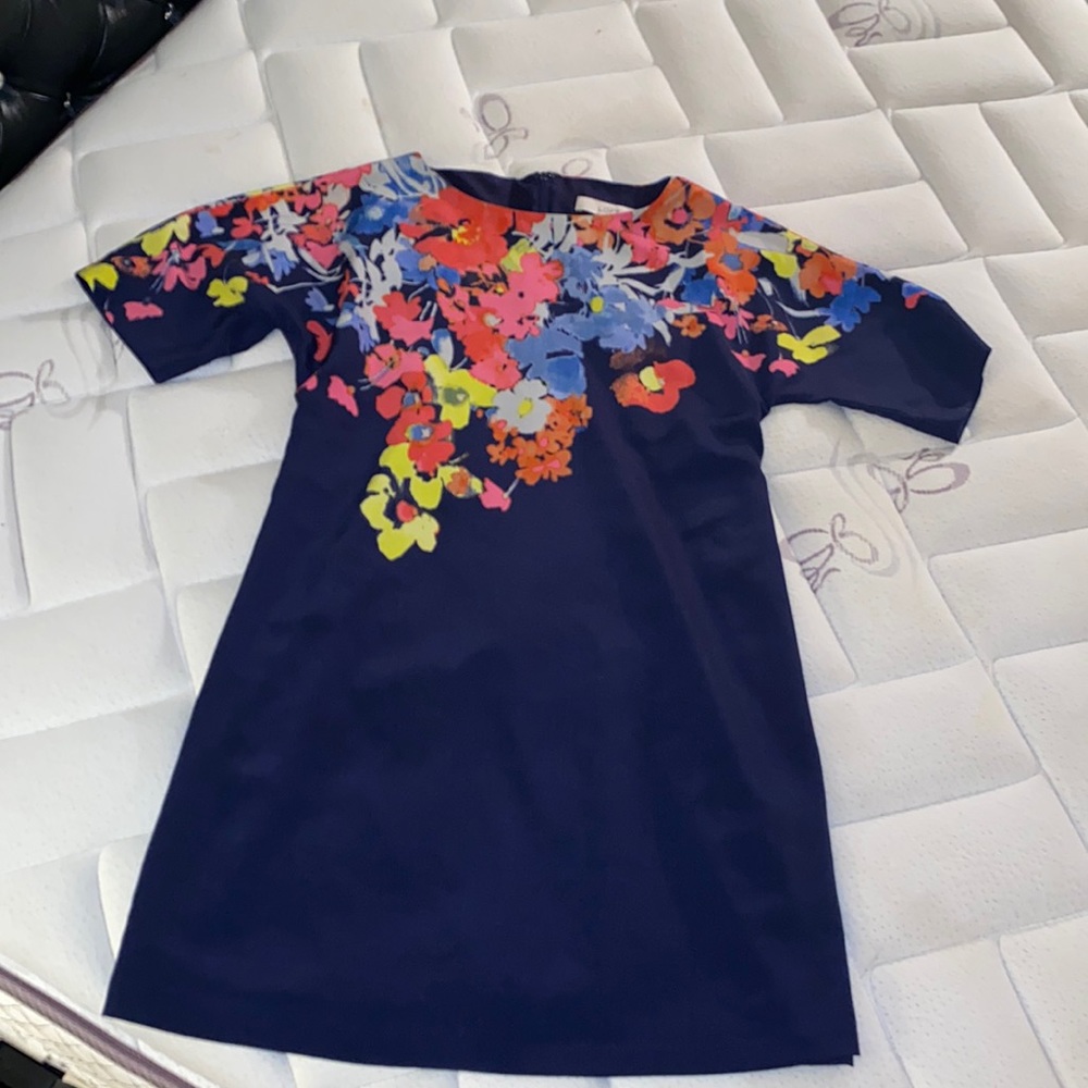 Ann Taylor LOFT Flora Mini Dress